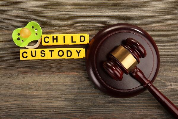  What Is Joint Legal Custody Judy Burger Law