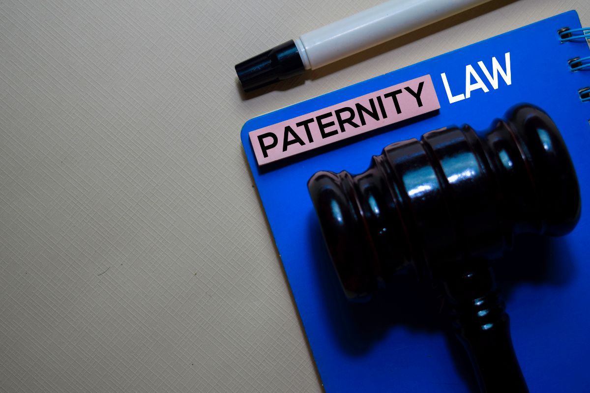 Understanding California Paternity Laws Judy Burger Law